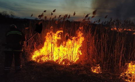 У Сватовому 10 квітня сталося три пожежі. Вогонь підбирався до житлових будинків