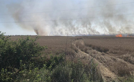 Через чиюсь прикру недбалість усе, що виростили хлібороби, може бути втраченим