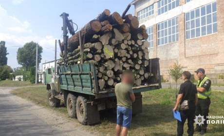 На Черкащині поліцейські задокументували два десятки фактів незаконної рубки
