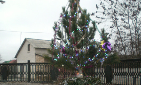 З Новим Роком! Вітаємо наших авторів і читачів!