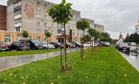 Погода у Барі з 7 по 13 жовтня: дощі, хмари й осіння прохолода