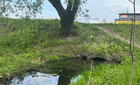 Екоінспектори перевіряють озеро у Звягелі на можливе забруднення неочищеними стічними водами