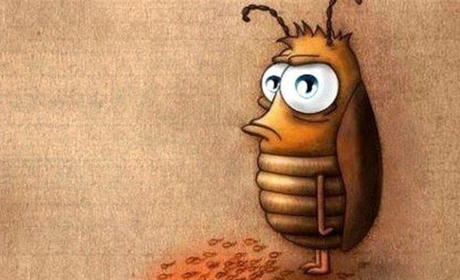 Хочете помститися своїм колишнім? Миколаївський зоопарк пропонує акцію до Дня закоханих