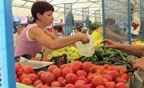 9 із 10 кілограмів плодів і овочів вживати небезпечно 