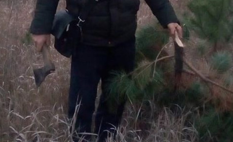 Поліцейські спіймали крадіїв ялинок і серед них є троїчанка