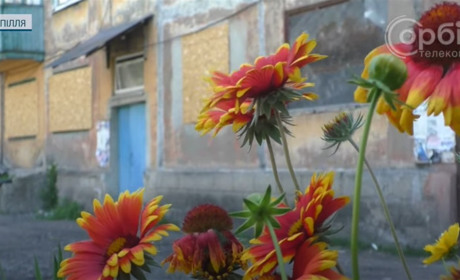 У Добропіллі оцінюють збитки після обстрілів: постраждалим обіцяють компенсації