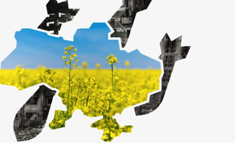 Українці, які постраждали від війни, можуть отримати безкоштовну правову допомогу: деталі