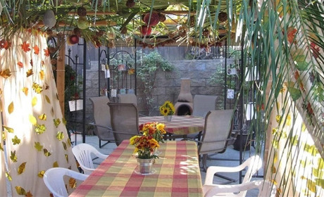 Праздник в палатке под пальмовыми ветвями: как в Израиле отмечают Суккот