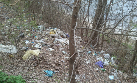 На березі Дніпра найбільше смітять  пластиком