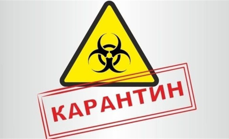 Час заборон: як золотонісці намагаються пристосуватися до сьогоднішніх обставин?