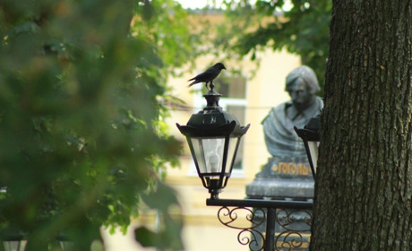 Що синоптики нам прогнозують у травні