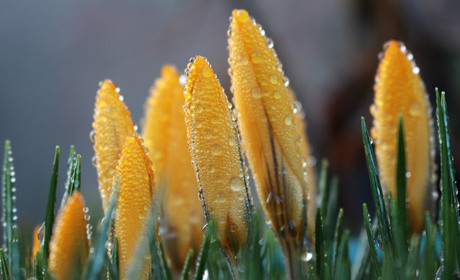 Якою буде погода у Сватовому і районі у перший тиждень весни: прогноз з 2 по 8 березня 2020