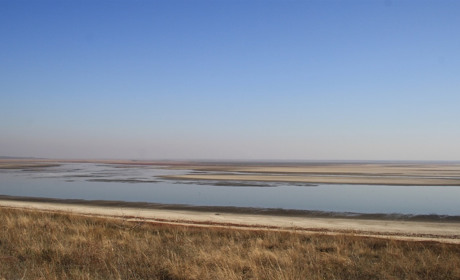 Зусилля з порятунку Молочного лиману: проблеми і перспективи