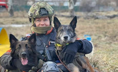 2 квітня: День кінолога України, День примирення та інші події, дати, свята, народні прикмети