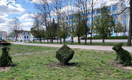 Ландшафтний дизайн: фігури з рослин з'явились у Сарнах