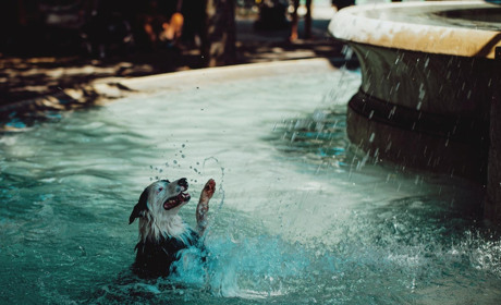 На вихідні у Кагарлицькому районі температура повітря прогріється  до +30