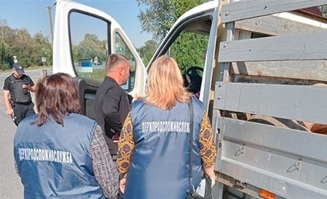 На Шепетівщині контролюють перевезення сільськогосподарських тварин