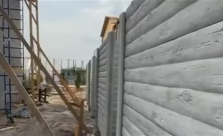 Олімпійська чемпіонка пожертвувала кошти на будиночки для собак, врятованих на Херсонщині