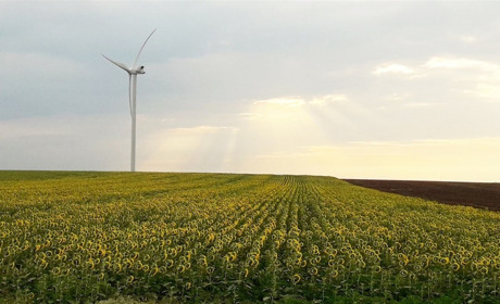 Второй месяц лета завершится прохладными днями, третий - начнется жарой