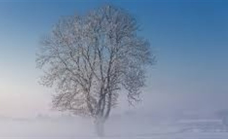 Синоптики прогнозують туман: погода на Сумщині та в Україні на вихідні