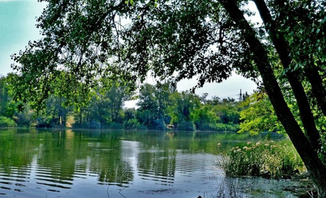 Глазами фотохудожника: каким было лето