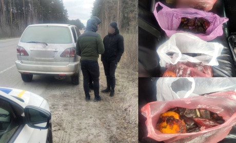 У Сарненському районі водій Lexus перевозив бурштин