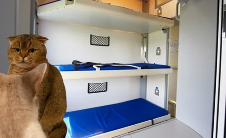 "Укрзалізниця" роз'яснила, чи мають право пасажири з верхньої полиці займати місце на нижній