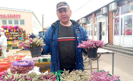 Олександр з «ерікою» і Анюта з «анютиними глазками»...