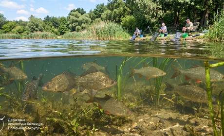 Нерестова заборона: де і як можна рибалити на Житомирщині до червня