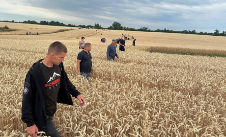 Понад 100 осіб шукали 3-річну дівчинку, яка загубилася в полі на Житомирщині