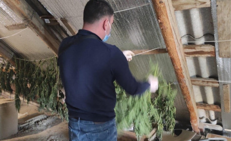 Батько та син з села Троїцьке Яськівської ОТГ вирощували коноплю, заробляючи по 200 тис.грн.