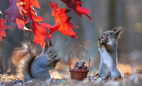 В Україні похолодає, частину країни накриють дощі: прогноз синоптиків на початок тижня