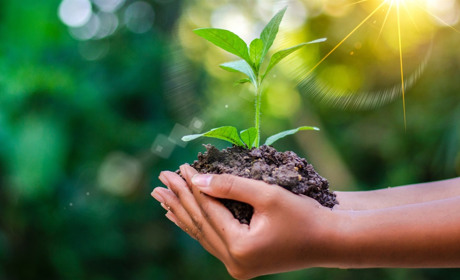 Як перевірити чи правильно вам нарахували плату за землю: роз’яснення податкової