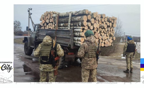 Деревина без маркування: у Вараському районі прикордонники зупинили вантажівку