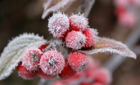 В Україні очікується мороз до -5°: оголошено І рівень небезпечності