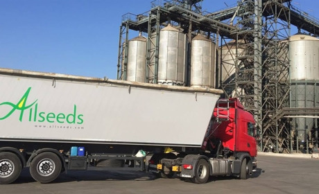 Постійні обстріли змусили Allseeds зупинити виробництво на Одещині