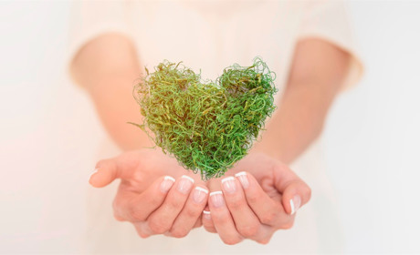 У Сватовому запрацював проєкт «Зелене місто»: чим він класний і що пропонують сватівчанам