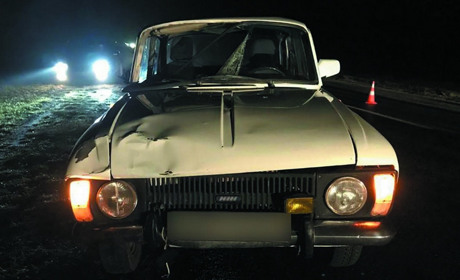 Возле Приазовья на неосвещенном участке дороги погиб пешеход