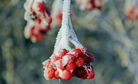 Якою буде погода на Сватівщині з 20 по 26 грудня 2021: прогноз на тиждень