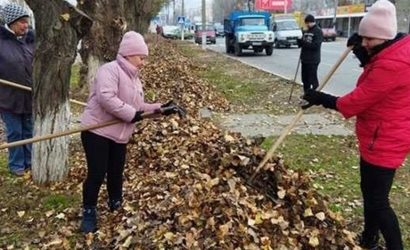 «Екосервіс» прибирав на «Соколі»