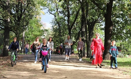 Хризантемовий бал у саду