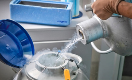 Криоконсервация (заморозка) эмбрионов в Киеве в "Медицинском центре ИГР"