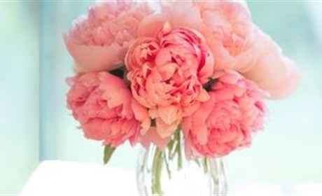 Доставка букетов в Староконстантинове всегда выручит	