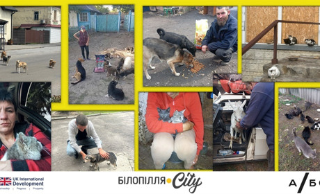 Кинути тварину — це зрадити друга