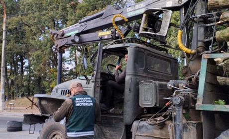 Для контролю перевезення деревини на Сумщині створили робочу групу. Вони працюють на блокпостах