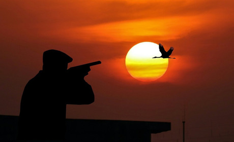 У Сватівському районі відкрився сезон полювання на водоплавну дичину