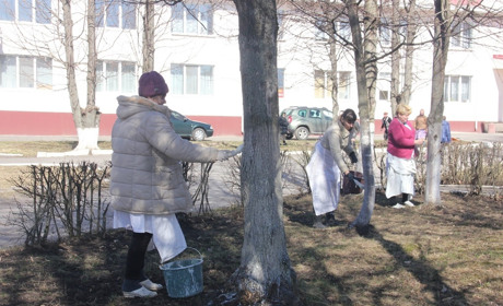 У районній лікарні білять, фарбують, підмітають, загрібають сухе листя - весняне прибирання