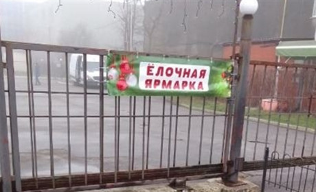 Скільки коштує новорічна ялинка в окупованому Бердянську?