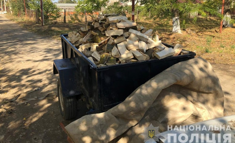 В Біляївці поліція затримала чоловіка, який віз дрова сумнівного походження