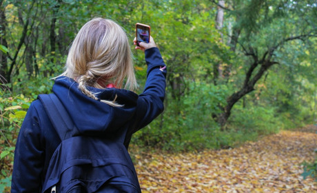 Осінь у фото сватівчан: підбірка найцікавіших фото за тиждень з Instagram від Сватове.City